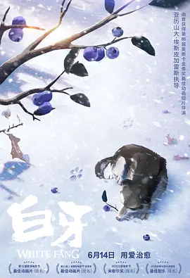 欧美交视频