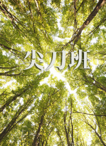 亚洲国产精品二区久久